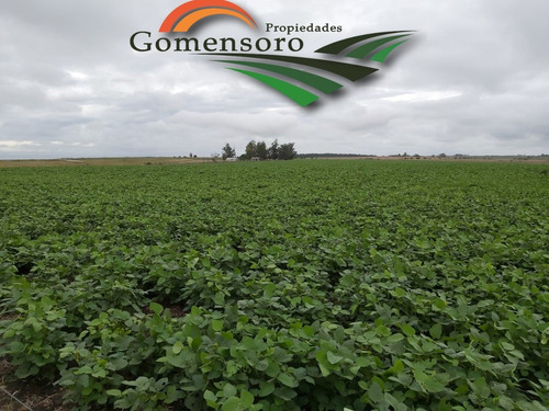 Excelente Campo Agricola Ganadero En San Jose