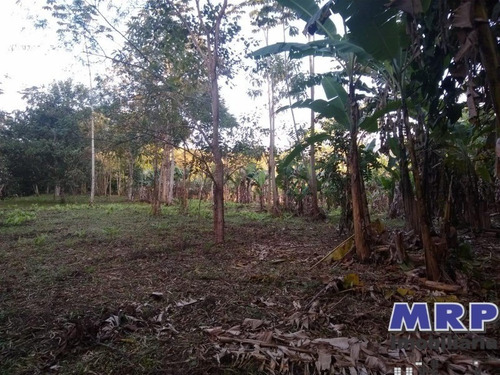 Imagem 5 de 12 de Ch00018 - Chácara Em Ubatuba, Com Natureza Exuberante, Acesso Ao Rio, 1.500m², Bairro Do Sertão Da Quina, A 3km Da Praia Da Maranduba! - Ch00018 - 67821424
