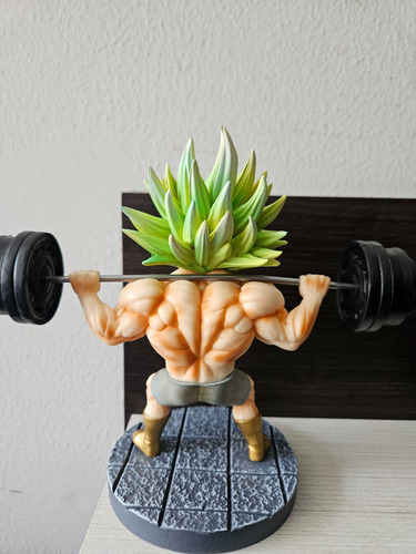 Figura Broli Ssj Entrenando Con Pesas - Dragon Ball Z
