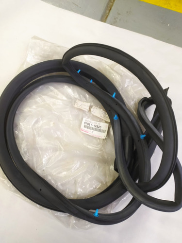Goma Puerta Delantera Derecha Toyota Corolla 1991-1998