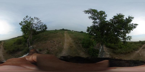 Venta Rancho Ganadero 100 Hectáreas Tamiahua Veracruz
