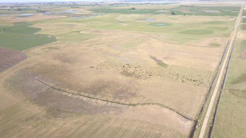 Imagen 6 de 8 de Campo En Venta En F. Madero - Agricola /ganadero