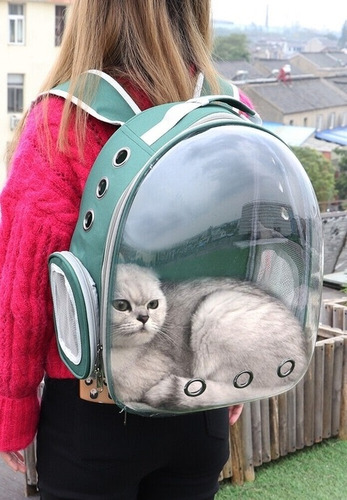 Imagen 9 de 10 de Mochila Bolso De Transporte Capsula Burbuja Gatos & Perros