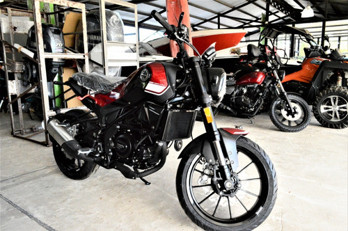 Imagen 3 de 4 de Benelli Leoncino Duecentocinquanta