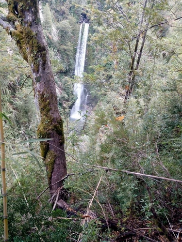 Lote Terreno 1.000m2 En Bosque Vistas Parciales Al Nahuel Huapi El Rincón Ruta 231 Villa La Angostura. Acceso Directo Y Posesión Inmediata!