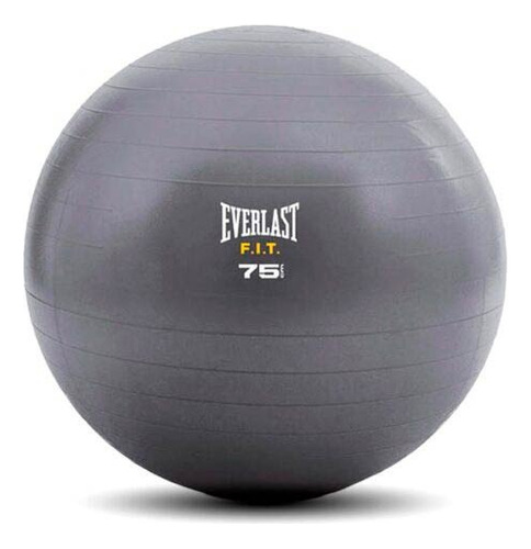 Balón De Pilates Everlast 75cm Con Bomba Para Inflar