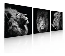 Comprar Set De 3 Cuadros Decorativos Modernos En Tela Canvas Leones