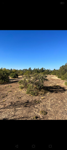 Se Vende Parcela De 5200 Mts2, Camino A Huencuecho,