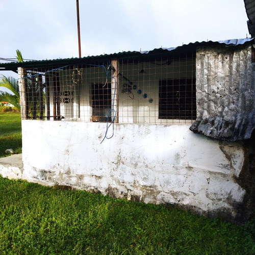 Vc Vende Terreno 10,3 Hectáreas Cocorote San Felipe Yaracuy