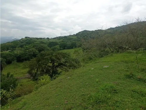 Vendo Lotes En La Pintada Con Vista A Farallones Desde 2.703 M²