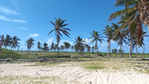 Imagen 2 de 9 de Terreno En Punta Cana Bavaro