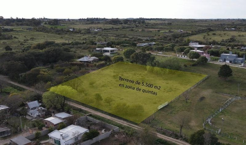 Imagen 1 de 14 de Terreno De 5.500 M2 En Zona De Quintas, Excelente Oportunidad