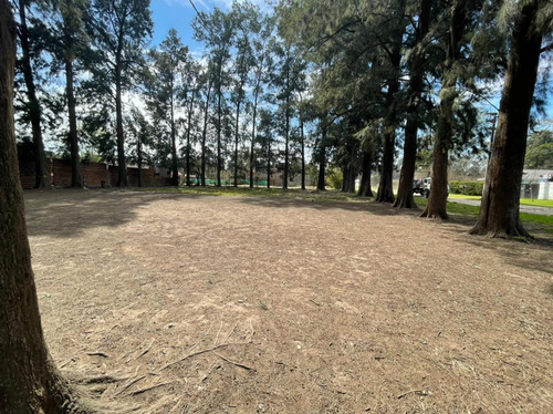 Imagen 2 de 5 de Terrenos En Venta En Francisco Alvarez