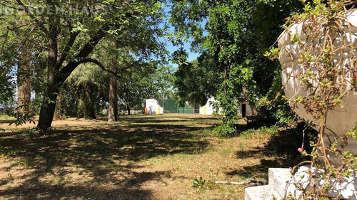 Imagen 7 de 13 de Chacra - San Andres De Giles