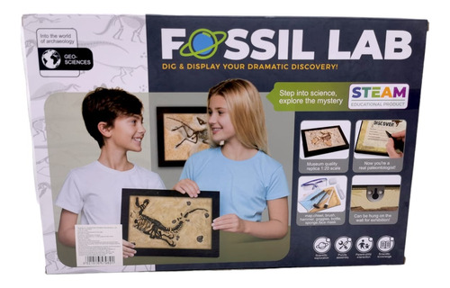 Fosil Dinosaurio Laboratorio Ciencia Excavar Niños Steam