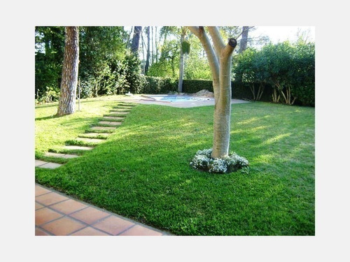 Imagen 9 de 12 de Casa En Alquiler - Prop. Id: 591