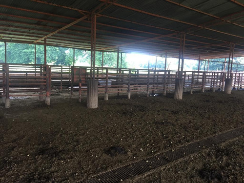 Imagen 14 de 24 de Finca En Barinas A Orilla De La Carretera