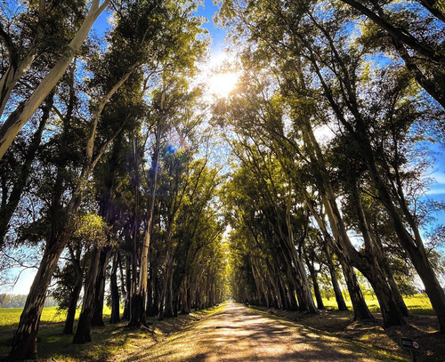 Terreno En Chacras De San Andres, San Andres De Giles