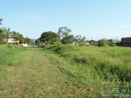 Terreno Para Venda Em Peruíbe, Jardim Somar - 0289_2-231411