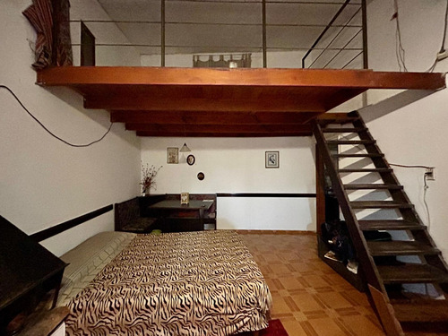 Alquiler De Apartamento 1 Dormitorio El Pinar