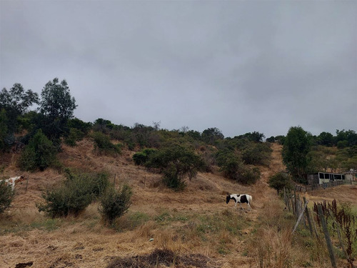 Terreno 5065 Paradero 8 Los Maitenes Limache