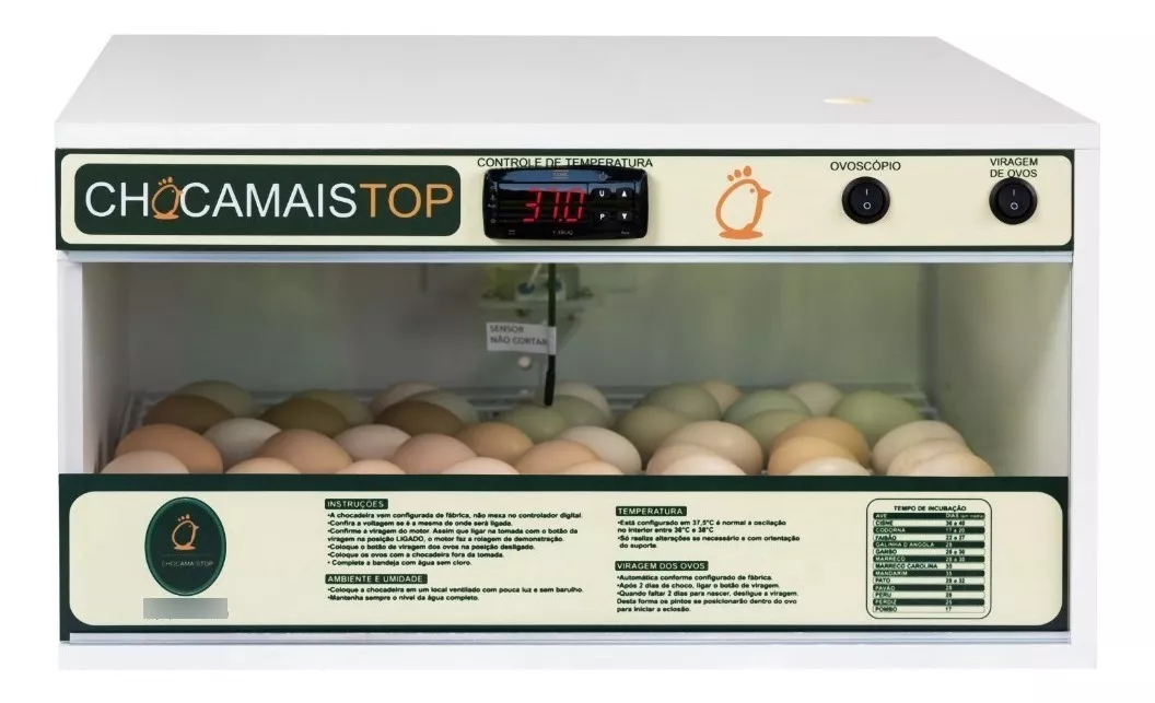 Terceira imagem para pesquisa de incubadora ovos