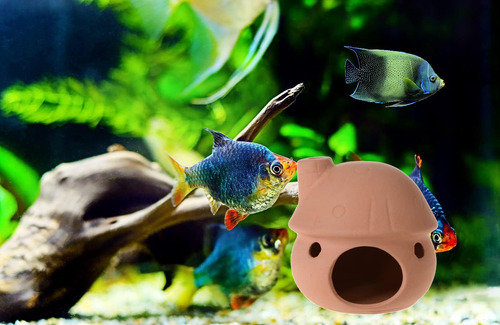 Decoración De Acuario Saim, Adorno De Casa De Setas De De De