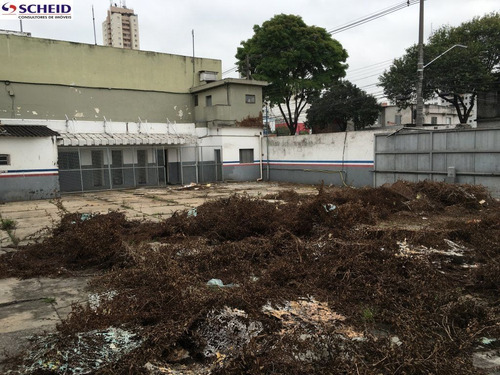 Imagem 14 de 15 de Excelente Imóvel, Muito Bem Localizado, Nao Perca Tempo Agende Hoje Sua Visita Com O Corretor . - Mc3218