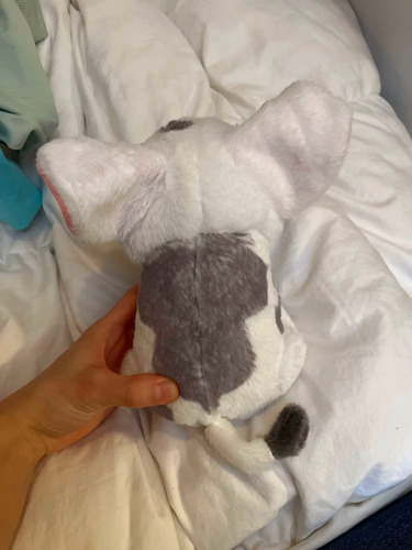 Pelúcia Pua O Fofo Porquinho De Moana 22 Cm Branco