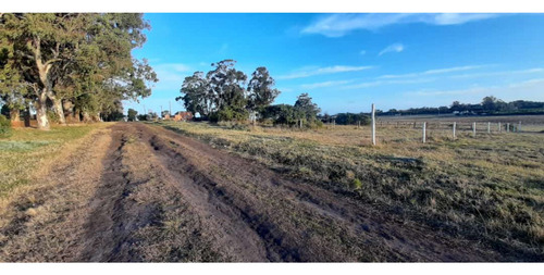 Venta Lote Arenas De Oro Miramar