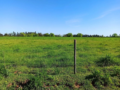 Terreno Agrícola De 6,8 Ha En Venta En San Clemente