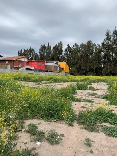 Oportunidad De Inversión: Terreno Plano (65534)