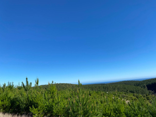 Oportunidad Venta De Parcela Pichilemu Playa Monaco