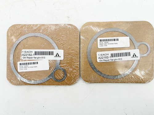 New Lot Of 2 Armstrong A22182-1 Gasket Repair Flat G Ccr
