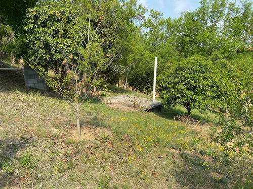 Imagen 6 de 6 de Terreno En Venta En Los Cavazos En Santiago