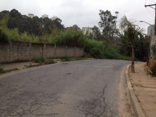 Imagem 4 de 4 de Terreno - Jardim Ampliacao - Ref: 799 - V-2653