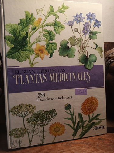 Plantas Medicinales 