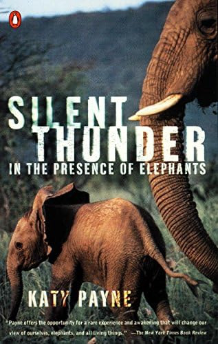 Silent Thunder: In The Presence Of Elephants, De Payne, Katy. Editorial Penguin Books, Tapa Blanda En Inglés