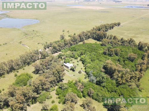 En Venta Campo Navarro, Buenos Aires 338 Has