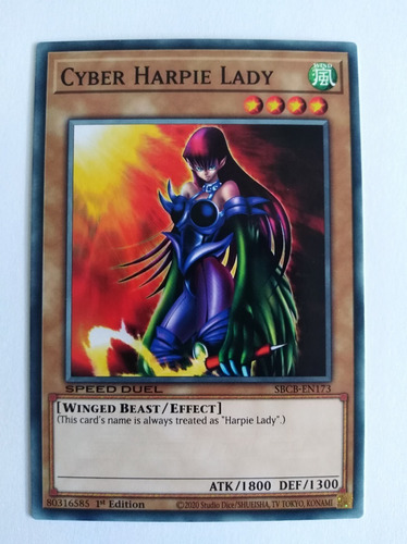 Cyber Harpie Lady - Common     Sbcb