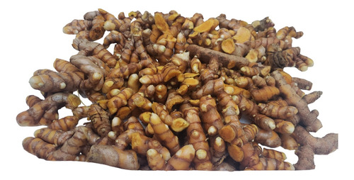 Açafrão Orgânico Fresco- Curcuma 2 Kg