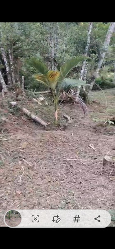 Vendo Um Sítio De 49.000 Metros Com Represa Dentro