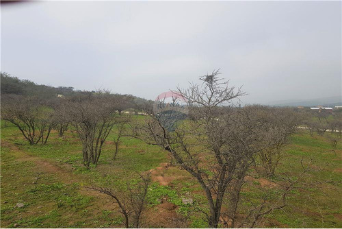 Sector Los Laureles - Terreno En Limache 5000 Mt