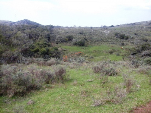 Campo En Venta En Uruguay, Lavalleja A Pocos Km De Minas- Ref: 22035