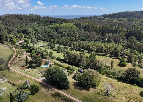 Venta Chacra 4 Dormitorios En Punta Ballena