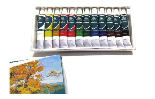 Caja De Óleos X12