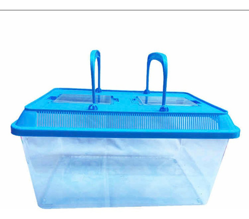 Breeding Box Grande, Caja De Cria Arañas Anfibios