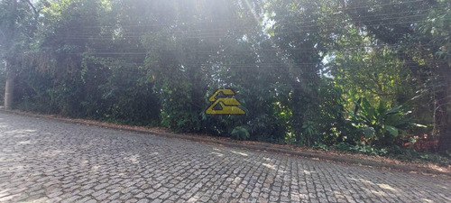 Imagem 23 de 24 de Terreno - Ref: Scv10867