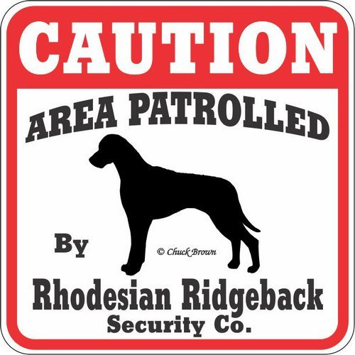 Perro Yard Firmar  Caution Zona Patrolled Rhodesian Empresa