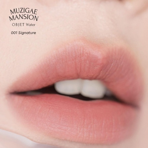 Lápiz Labial Mate Objet Water Lip Stain Lápiz Labial Líquido